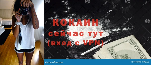 гашик Алексеевка