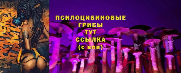 СК Алзамай